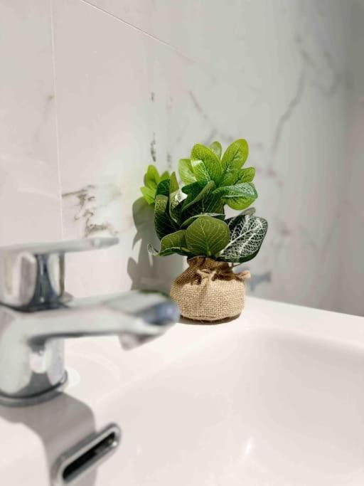 - Cabanyal Boutique Villa Valencia Kültér fotó