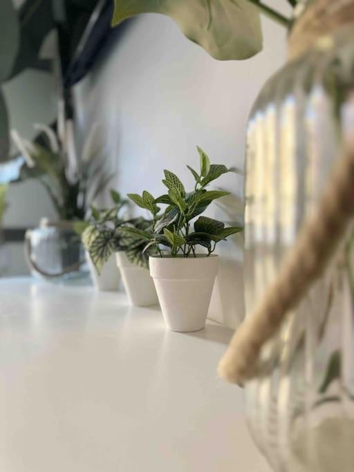 - Cabanyal Boutique Villa Valencia Kültér fotó